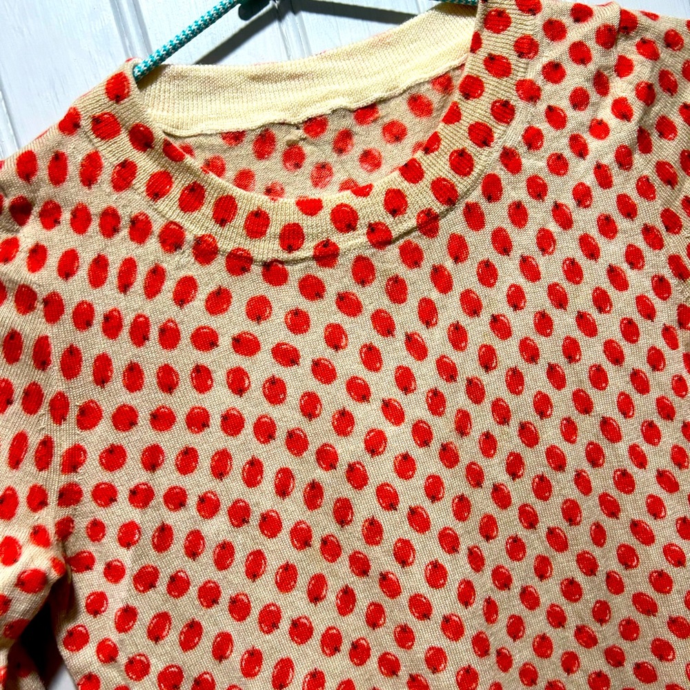 JCrew Crew Neck Fruit Print Sweater